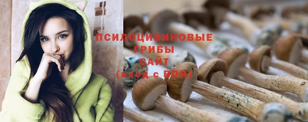 ешки Алзамай