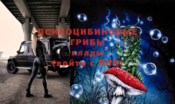 дурь Алексеевка