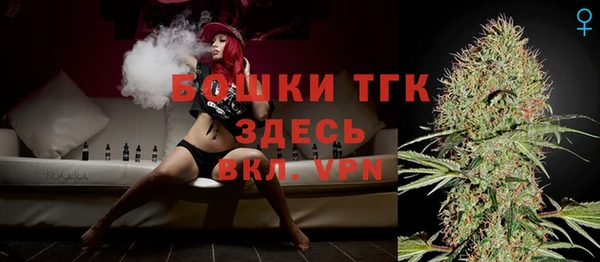 тгк Корсаков